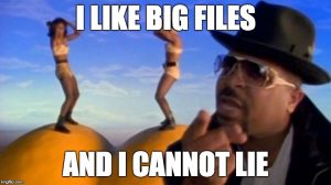 Sir Mixalot likes big files