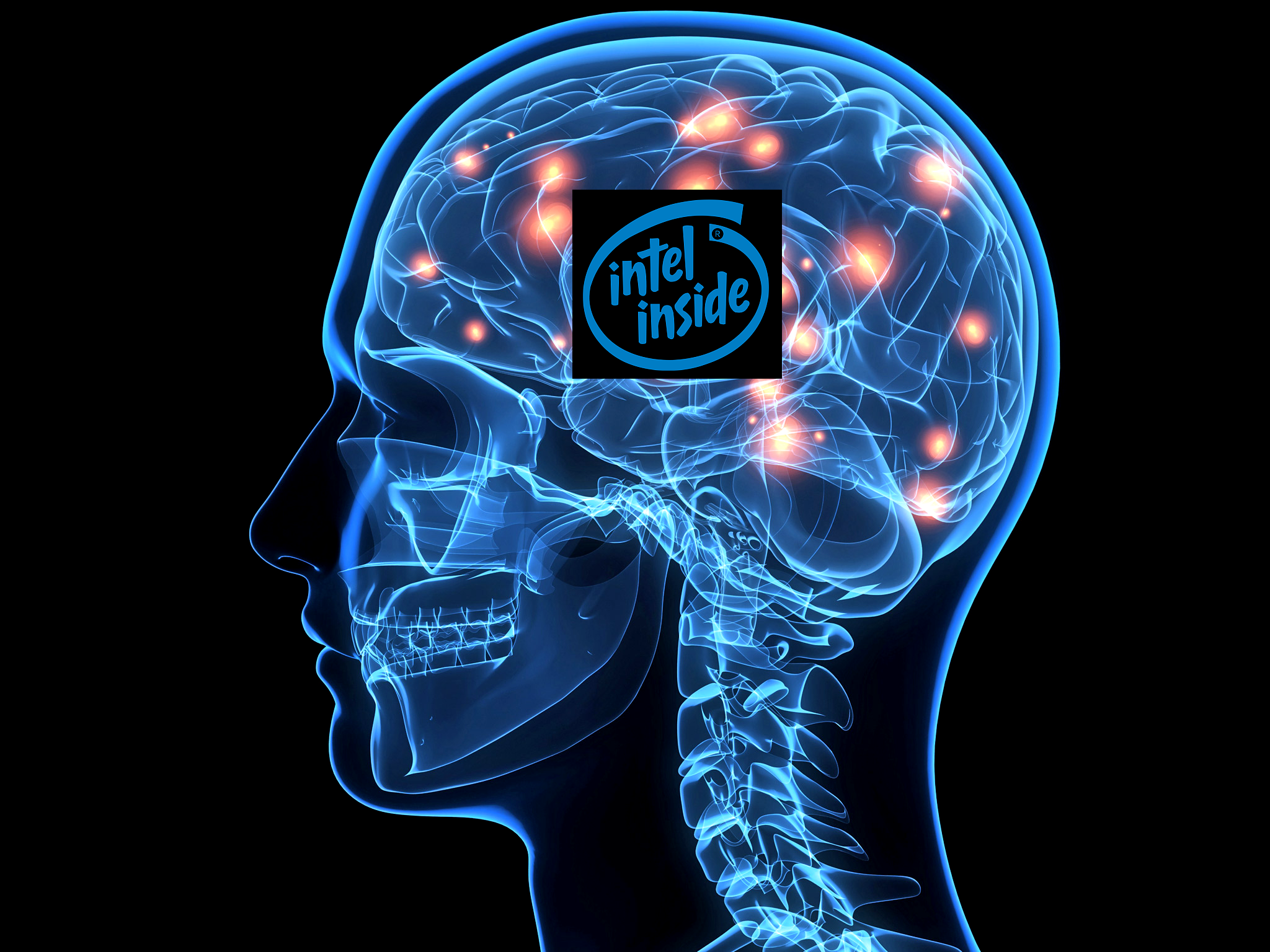 brain-inside